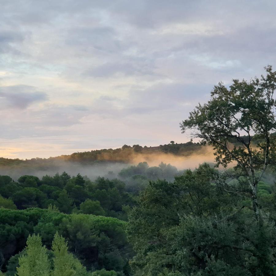 Charmant Studio Proche Lac Et Foret Carcassonne Eksteriør bilde