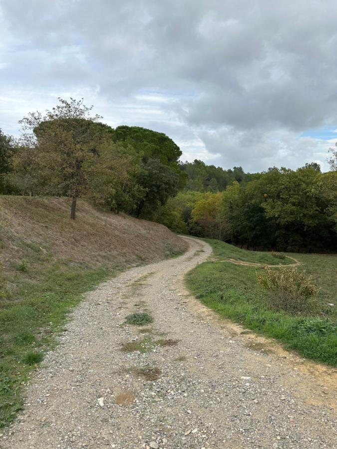 Charmant Studio Proche Lac Et Foret Carcassonne Eksteriør bilde